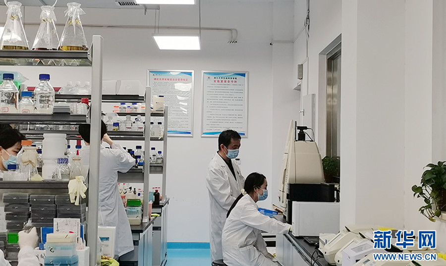 聚焦高質量發展 加速產學研用融合，湖北競逐合成生物產業新藍海