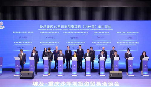 重慶沙坪壩投資貿(mào)易洽談會成功舉行，簽約6個對非經(jīng)貿(mào)合作項(xiàng)目助力信息咨詢服務(wù)升級